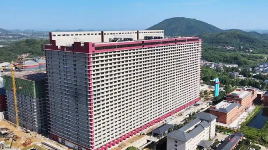 Nuôi lợn trong chung cư, ăn theo AI tại Việt Nam?